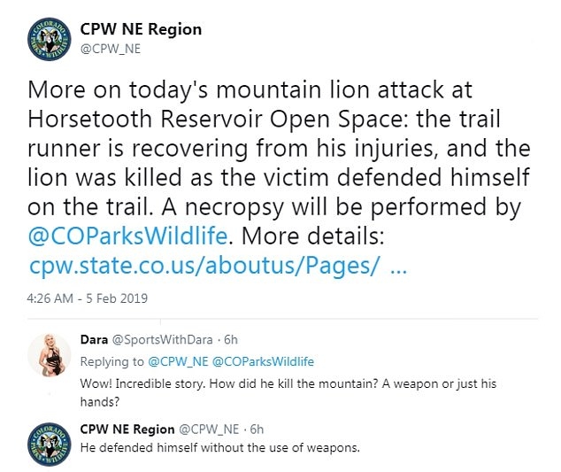 Colorado Jogger Kills A Mountain Lion With His BARE HANDS In Self 