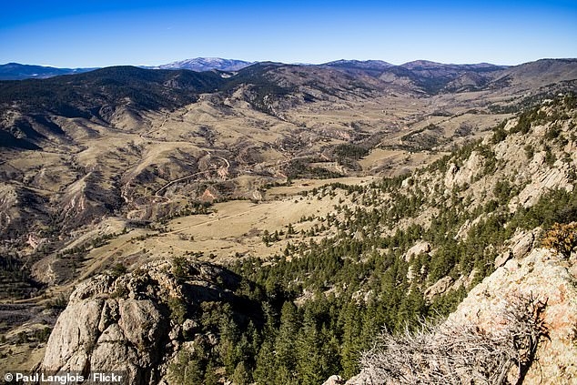 colorado jogger kills mountain lion