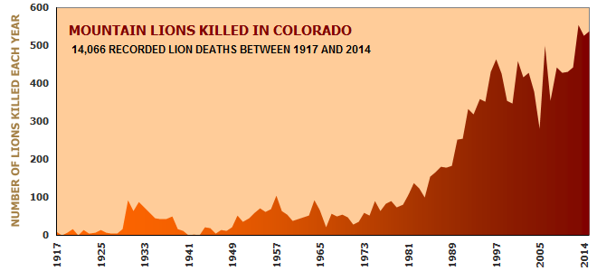 Colorado Mountain Lion Foundation