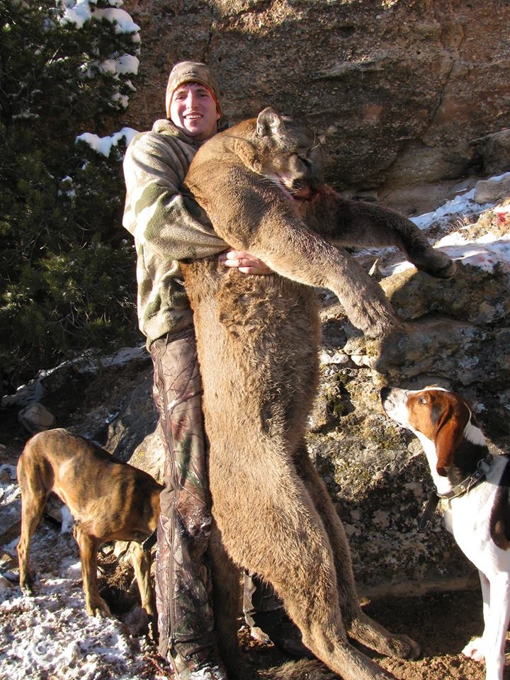 Colorado Mountain Lion Hunt 10284