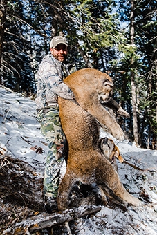 Colorado Mountain Lion Hunting