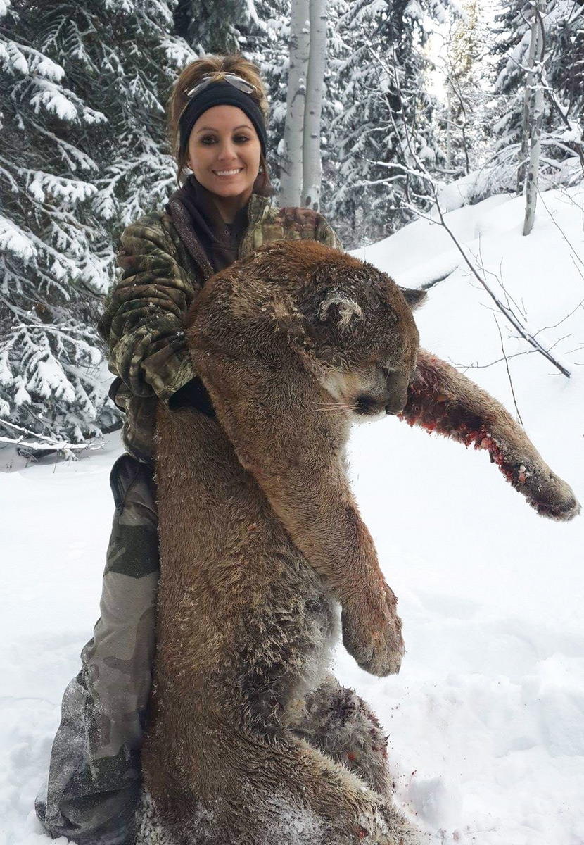 Colorado Mountain Lion Hunting 6