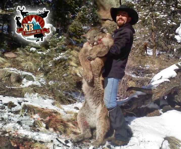 Colorado Mountain Lion Hunting KB Outdoors Inc 