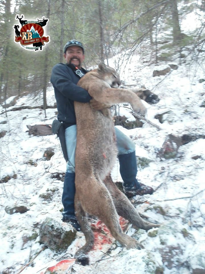 Colorado Mountain Lion Hunting KB Outdoors Inc