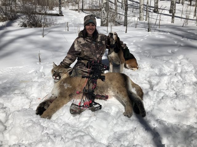 Colorado Mountain Lion Hunting QRS Outdoor Specialties