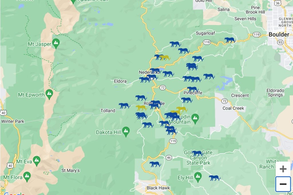 Colorado Mountain Lions Kill At Least 15 Dogs Near Small Town