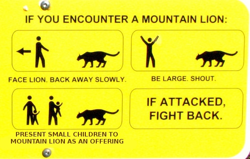 Colorado Runner Chokes 80 pound Mountain Lion To Death Boing Boing 