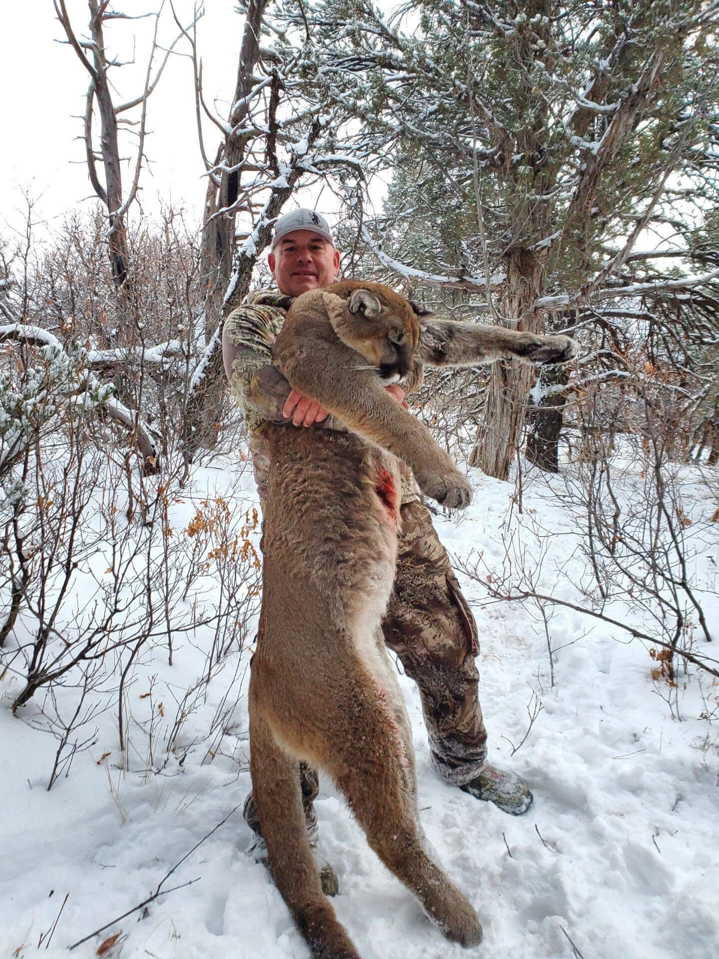 Colorado Utah Mountain Lion Hunt