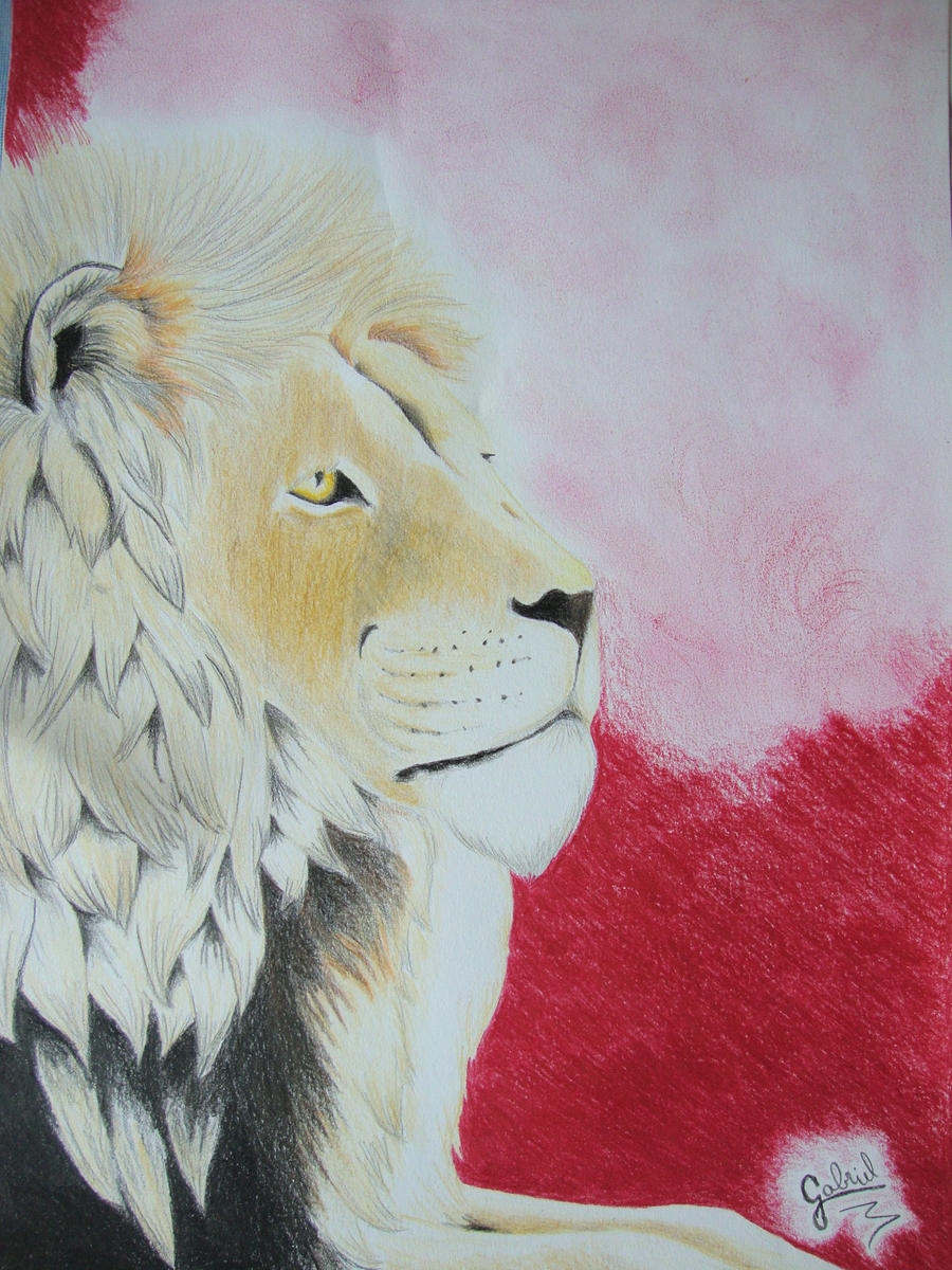 Colored Pencil Lion By Gabrielmaurano On DeviantART