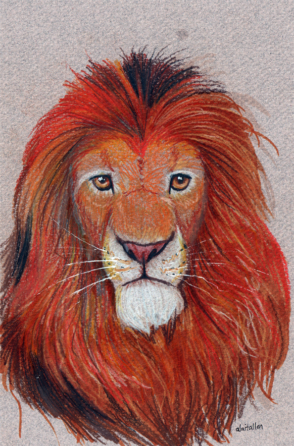 Colored Pencil Lion Weasyl