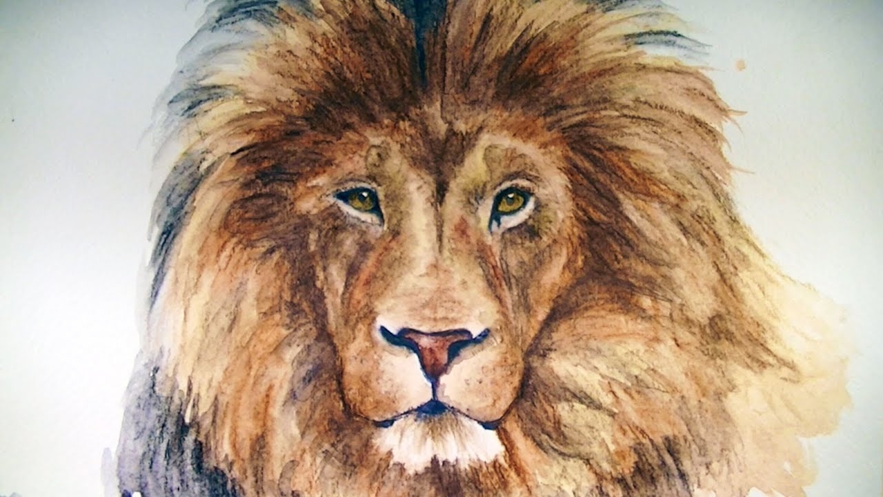 Colored Pencil Realistic Lion Drawing Pencildrawing2019