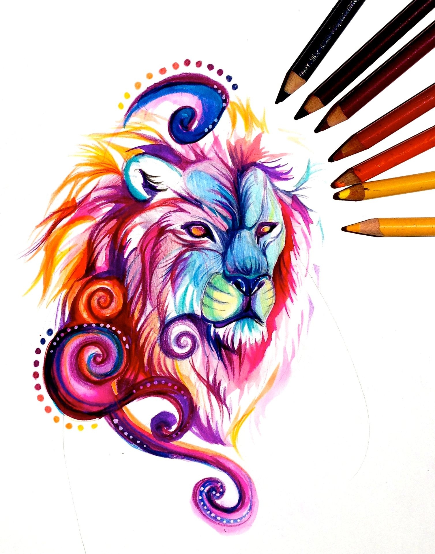 colorful lion drawing