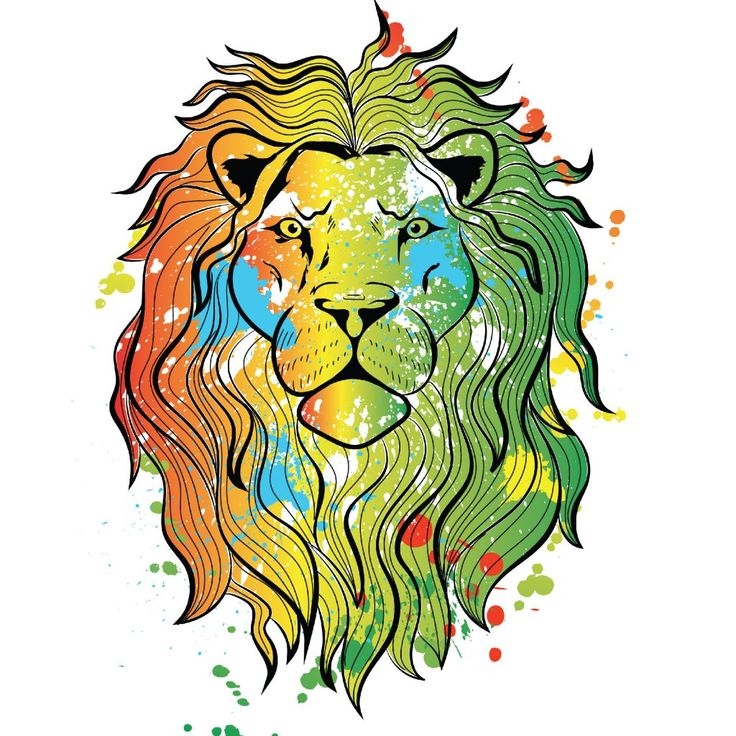 Colorful Lion Drawing Colorful Lion Lion Drawing Drawings