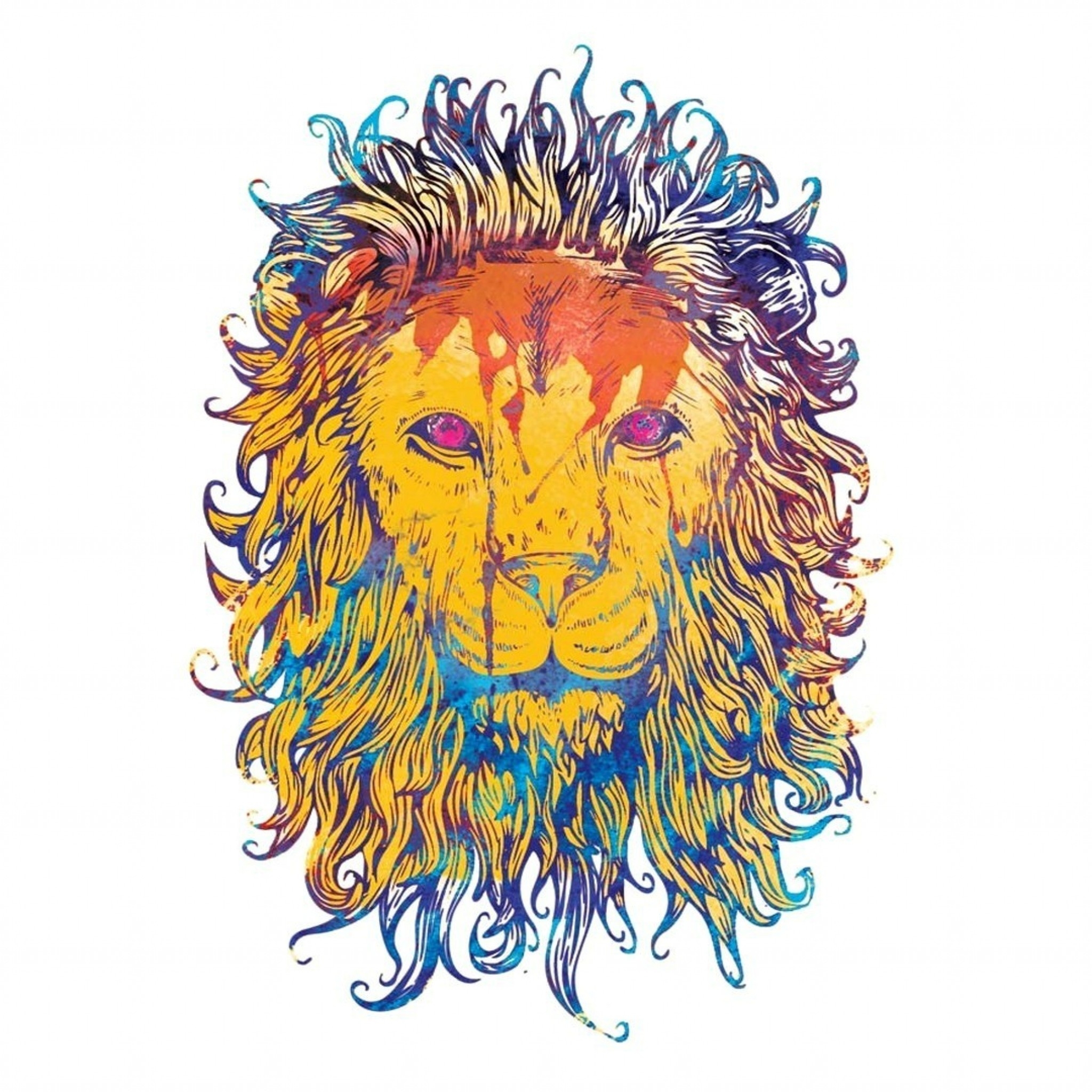 lion drawing colorful