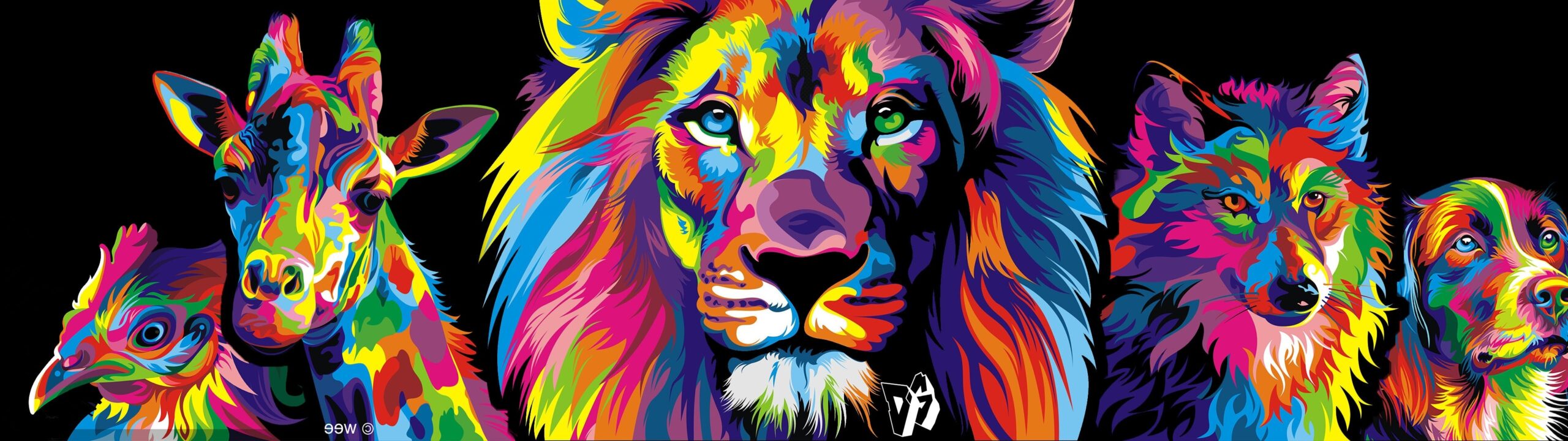 Colorful Lion Wallpaper WallpaperSafari