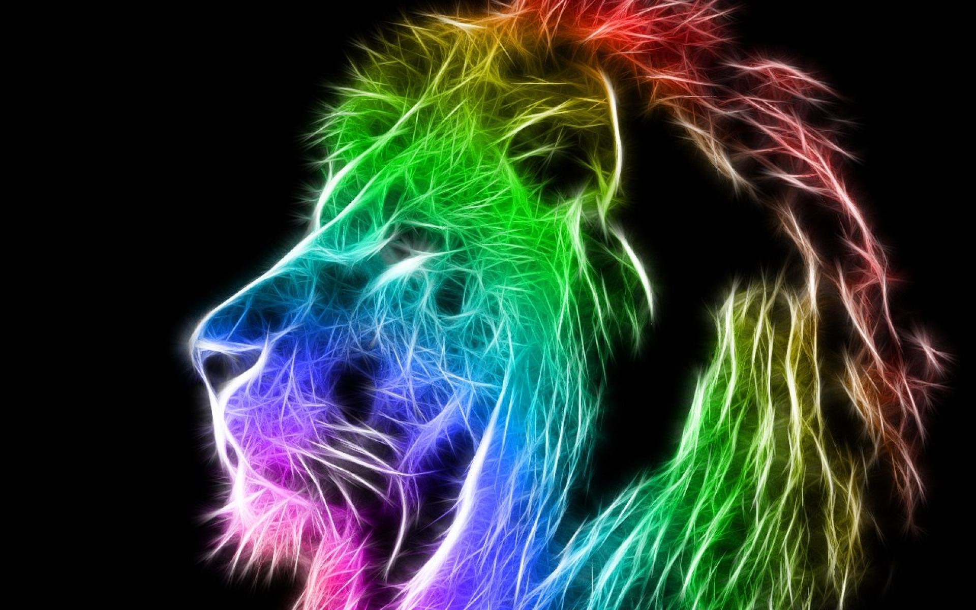 Colorful Lion Wallpaper WallpaperSafari