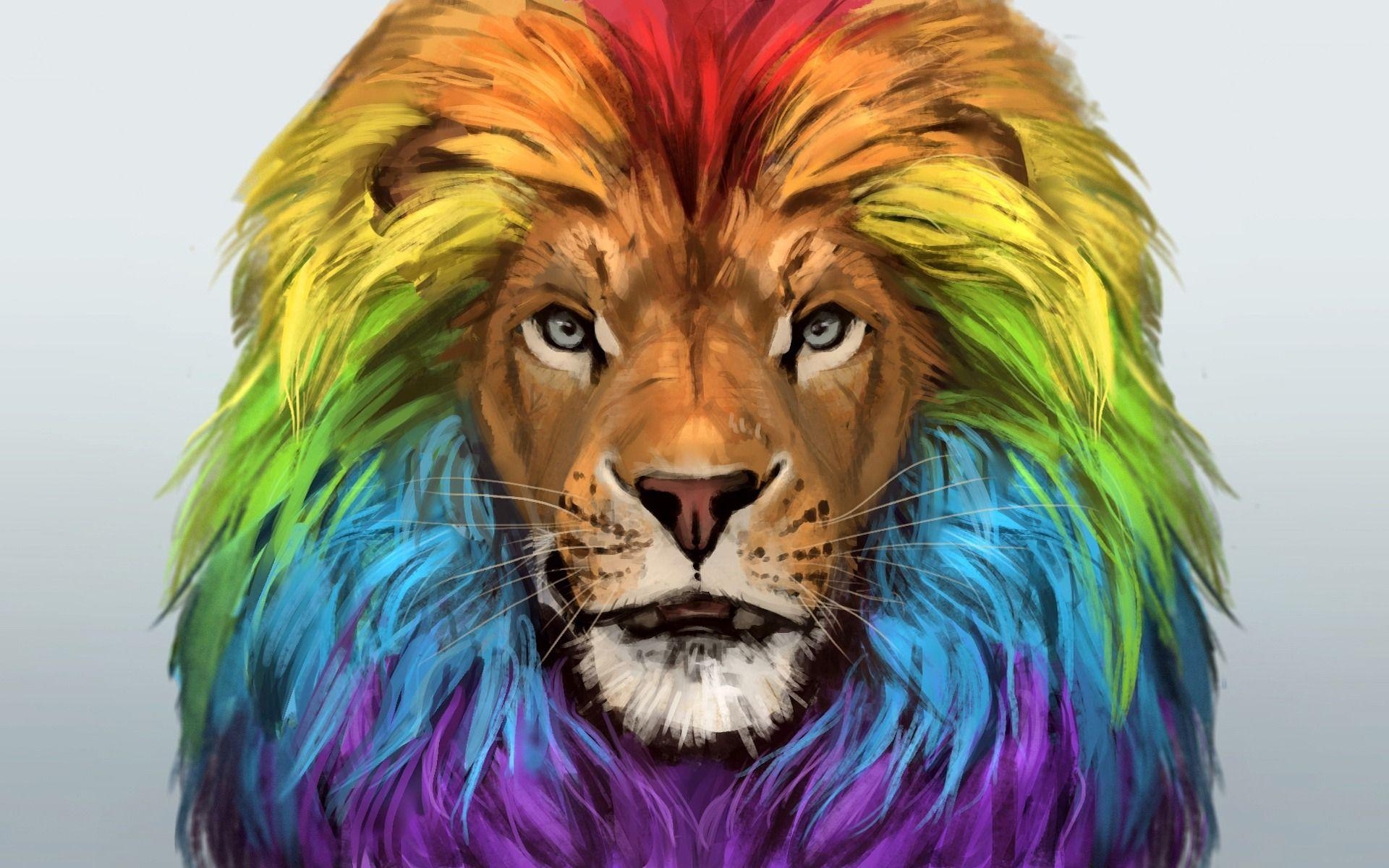 Colorful Lion Wallpapers Top Free Colorful Lion Backgrounds 