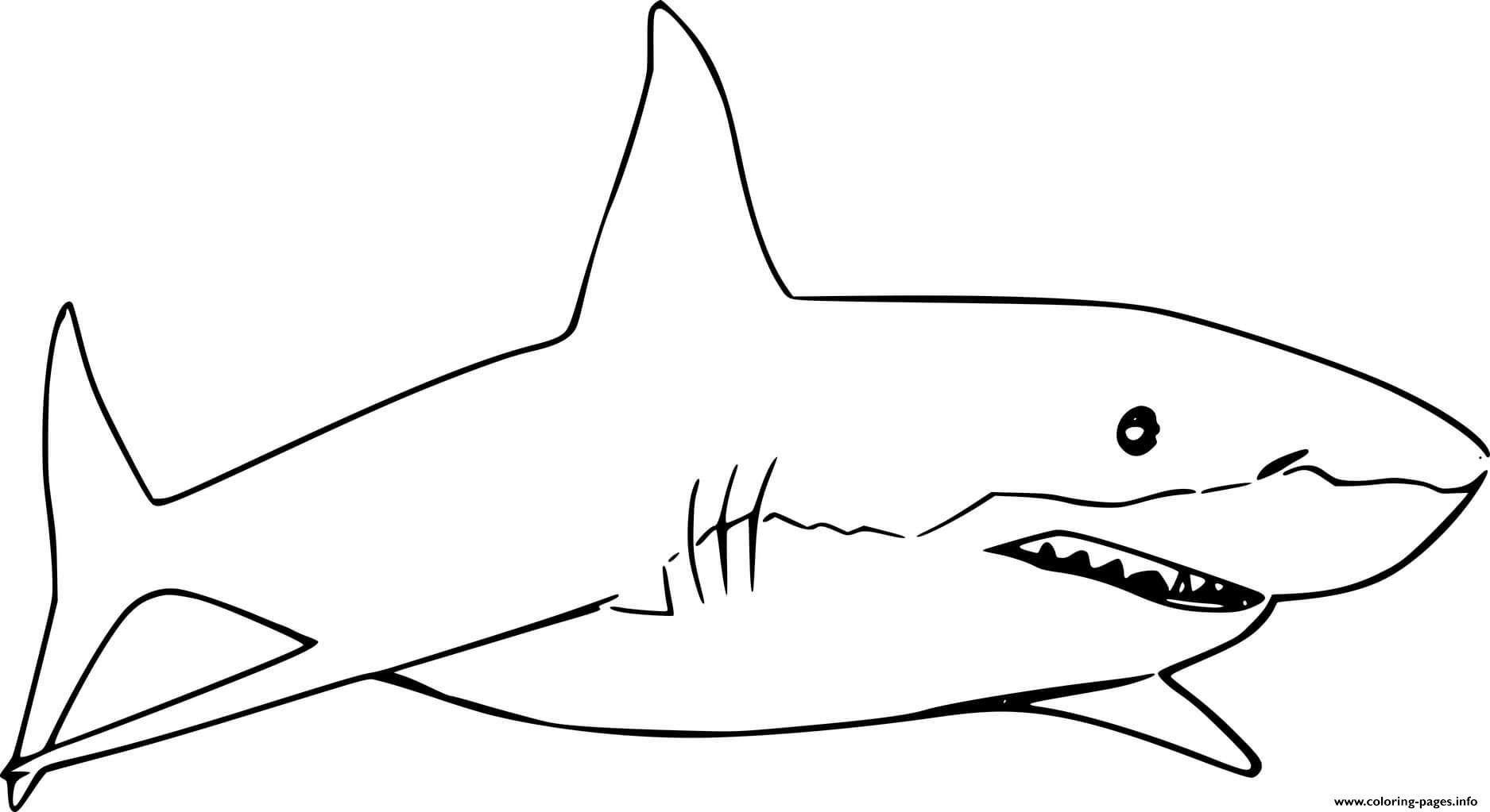 Coloring Pages Sharks Printable