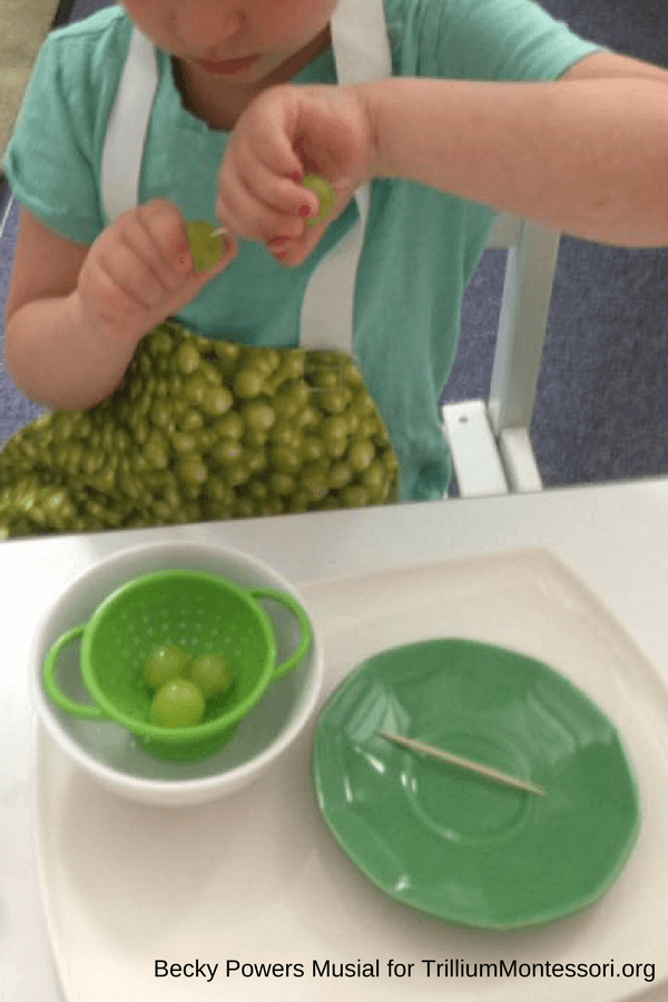 Cooking In The Montessori Classroom