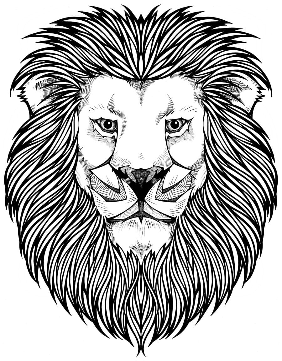 Cool Lion Face