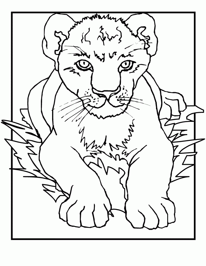 Cubs Free Coloring Pages