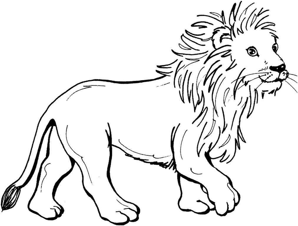Cute Lion Coloring Pages At GetColorings Free Printable Colorings 