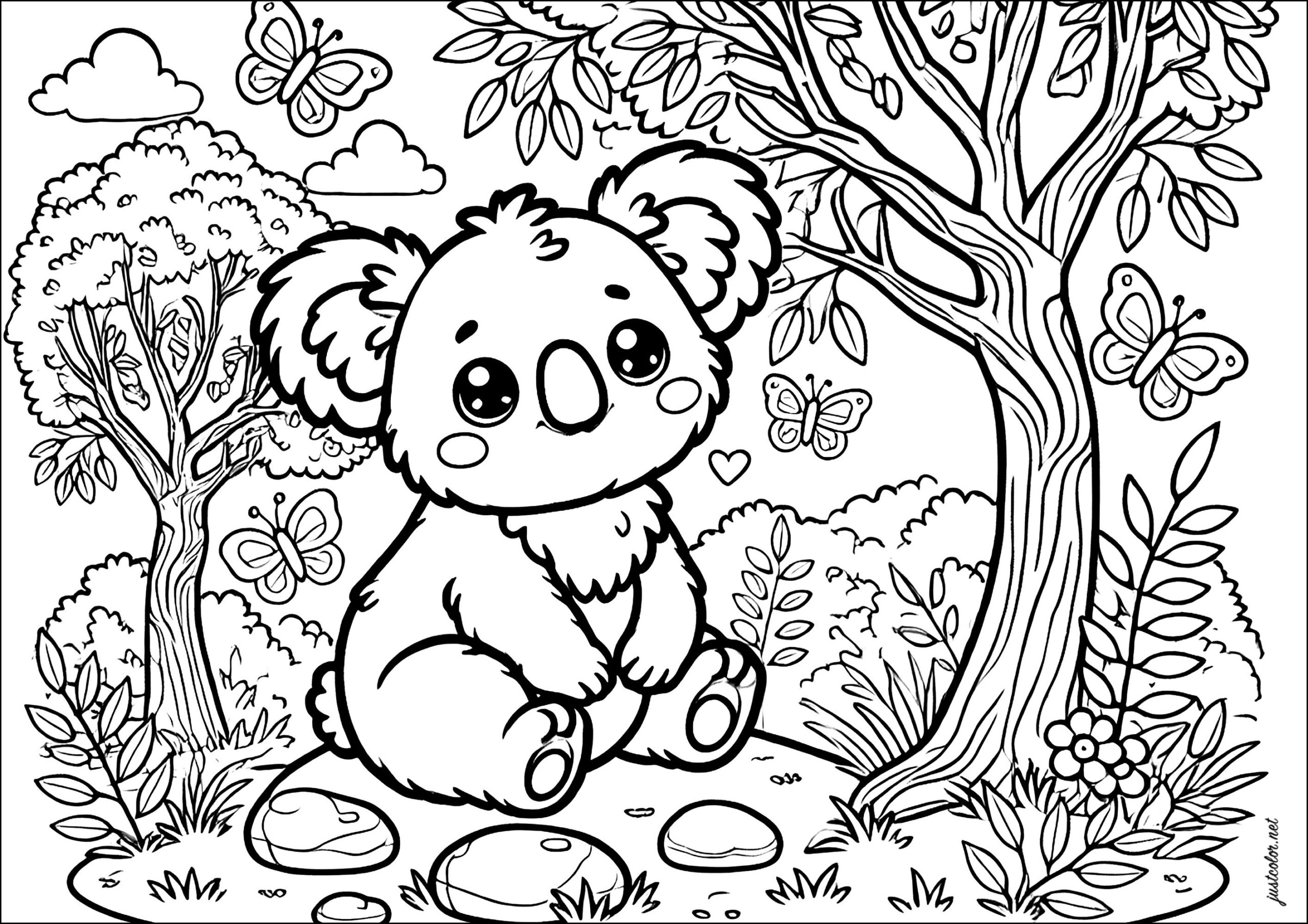 printable pictures of koalas