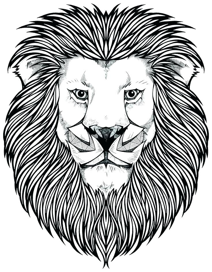 coloring sheets of lions