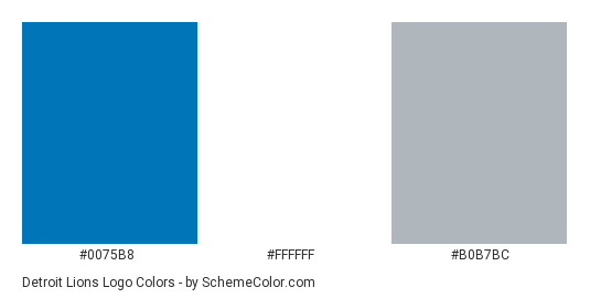 Detroit Lions Logo Color Scheme Brand And Logo SchemeColor 