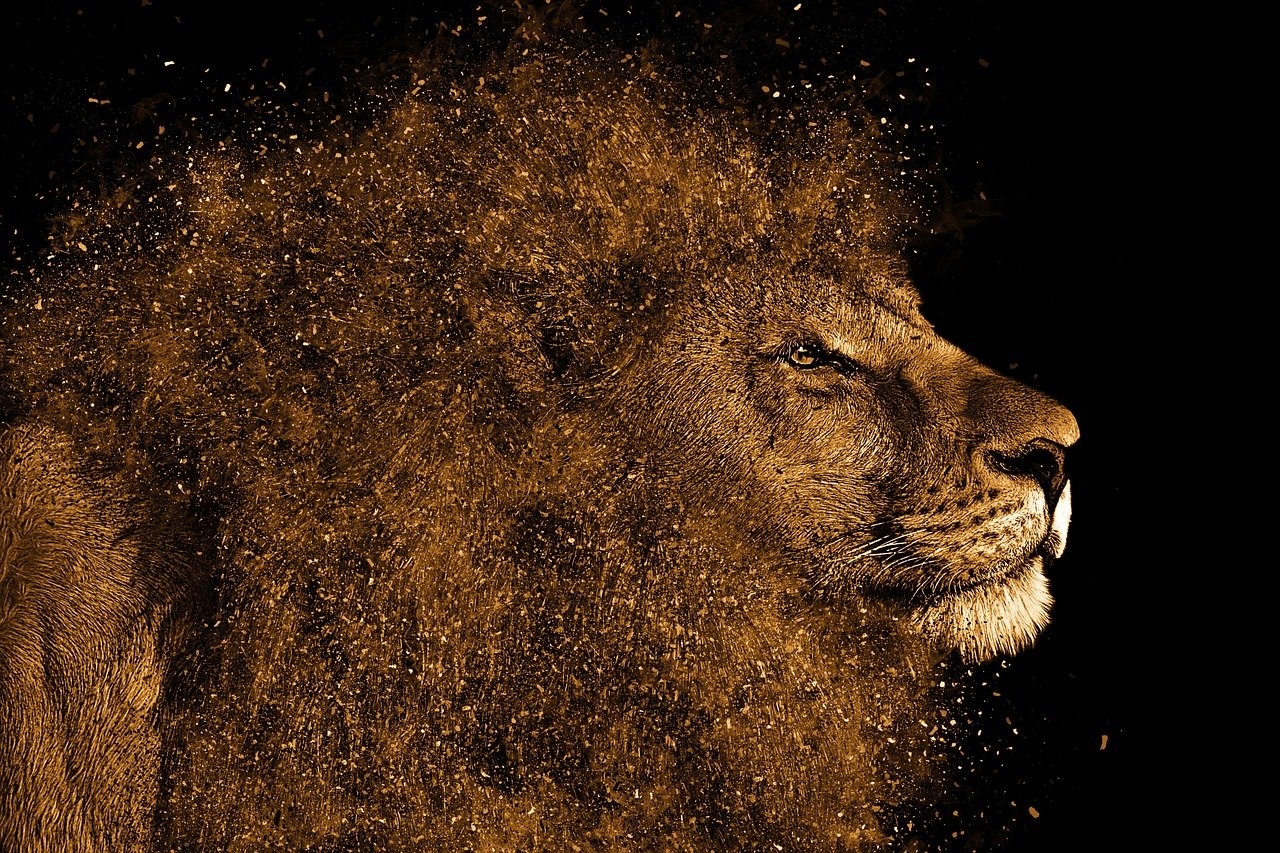 Download Lion Mane Hair Royalty Free Stock Illustration Image Pixabay