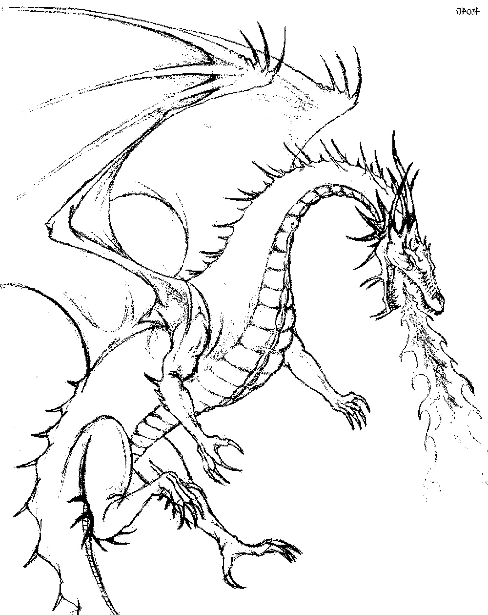 Dragons Printable Coloring Pages