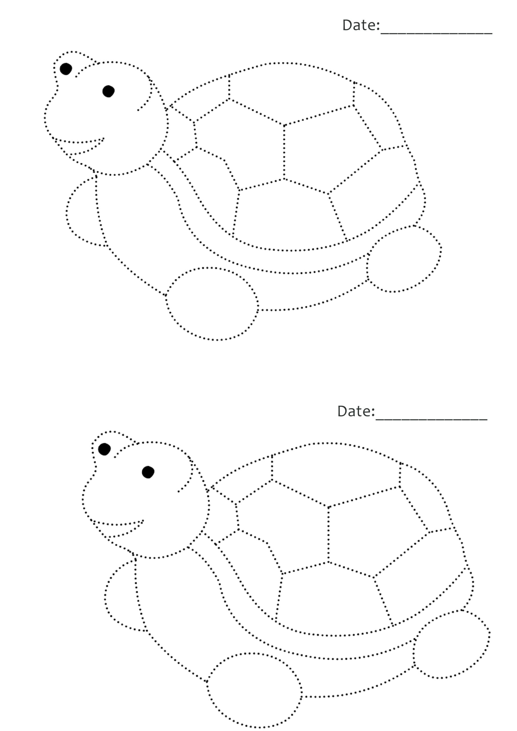Drawing Printable Worksheets For Pre Nursery Shamim Grammar School SGS
