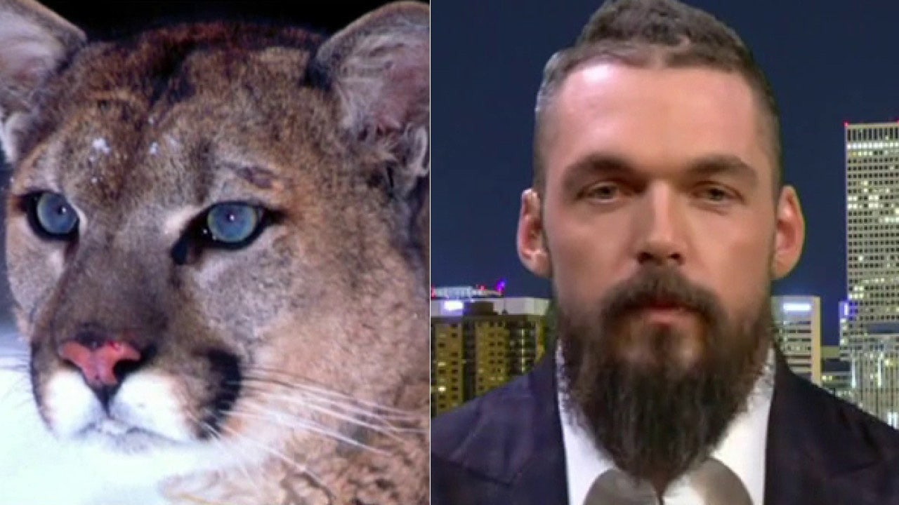 Ex NFL Player Tracks And Kills Mountain Lion Terrorizing Colorado