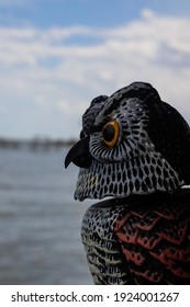 Fake Owl Scare Birds Away Porch Stock Photo Edit Now 1924001267