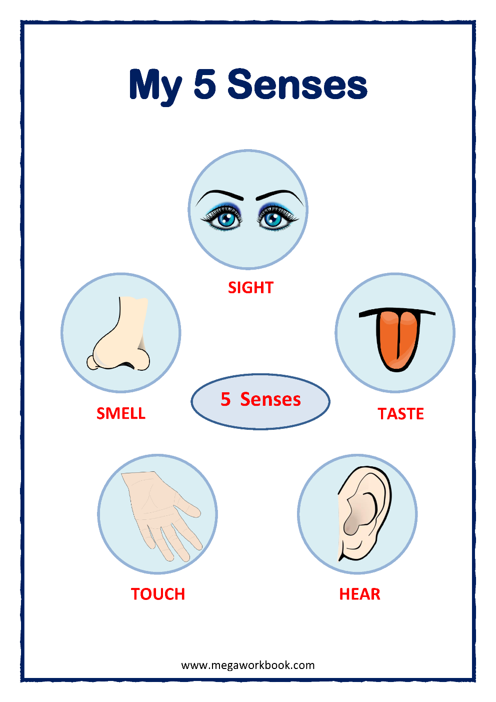 Five Senses Activity Tim S Printables Five Senses Wor Vrogue co