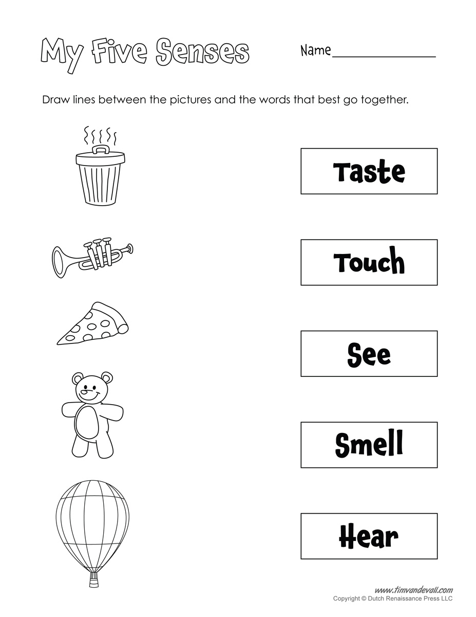 Five Senses Matching Tim 39 s Printables