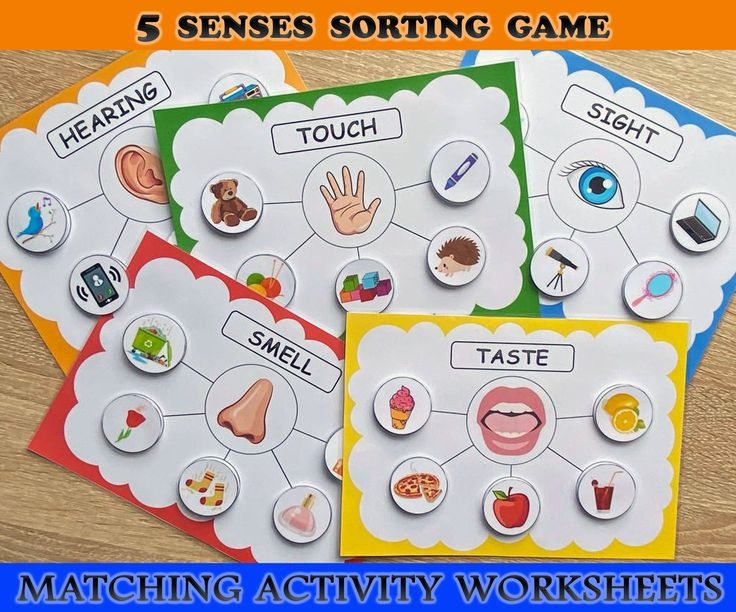 Five Senses Sorting Activity Printable 5 Senses Sorting Homeschool