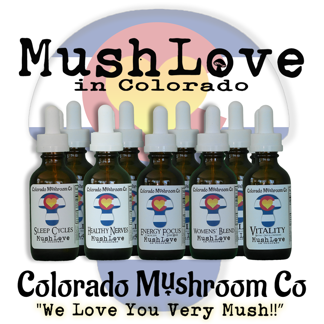 Focus Lions Mane Tincture Colorado Mushroom Company