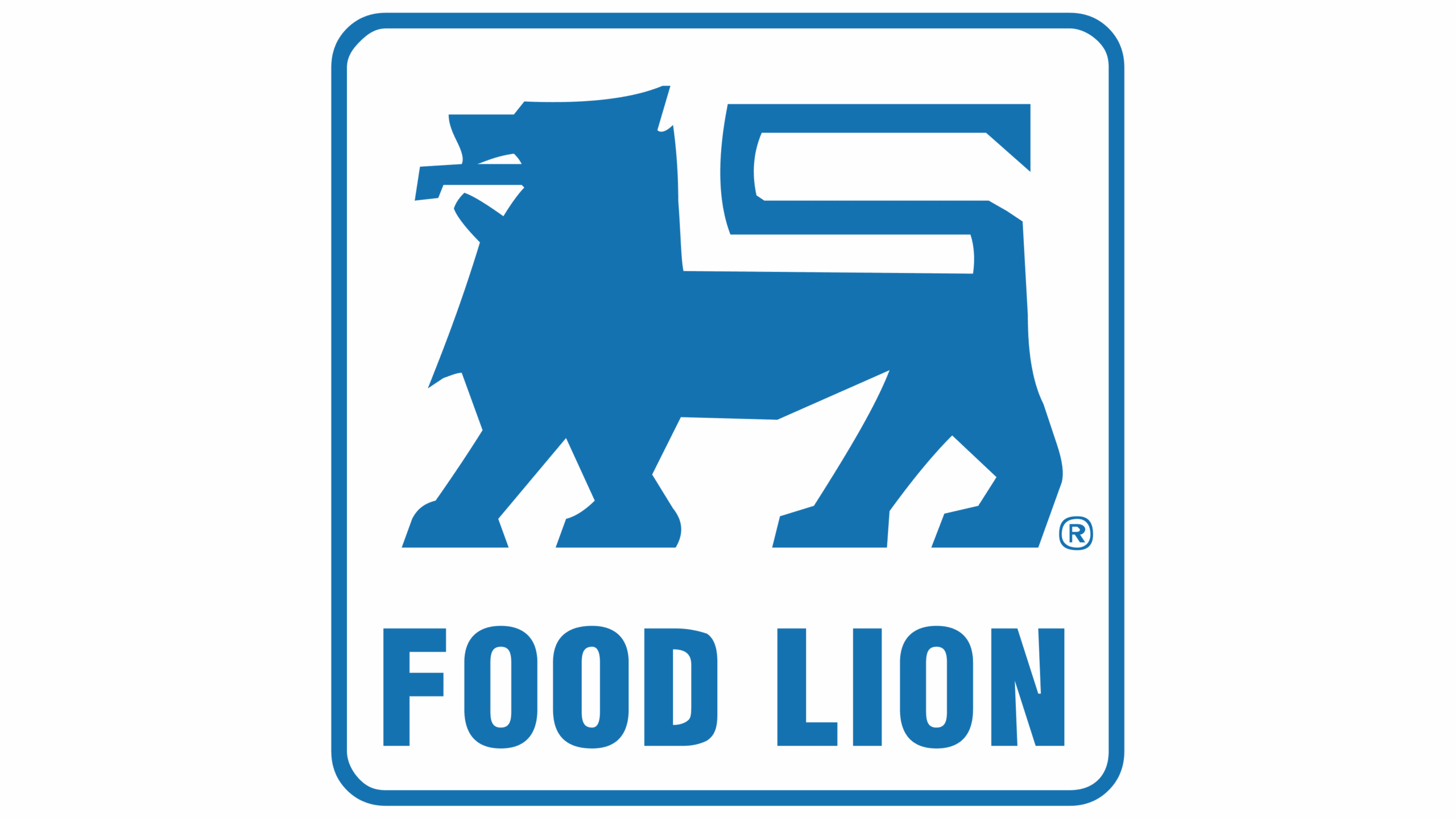 food lion hair color