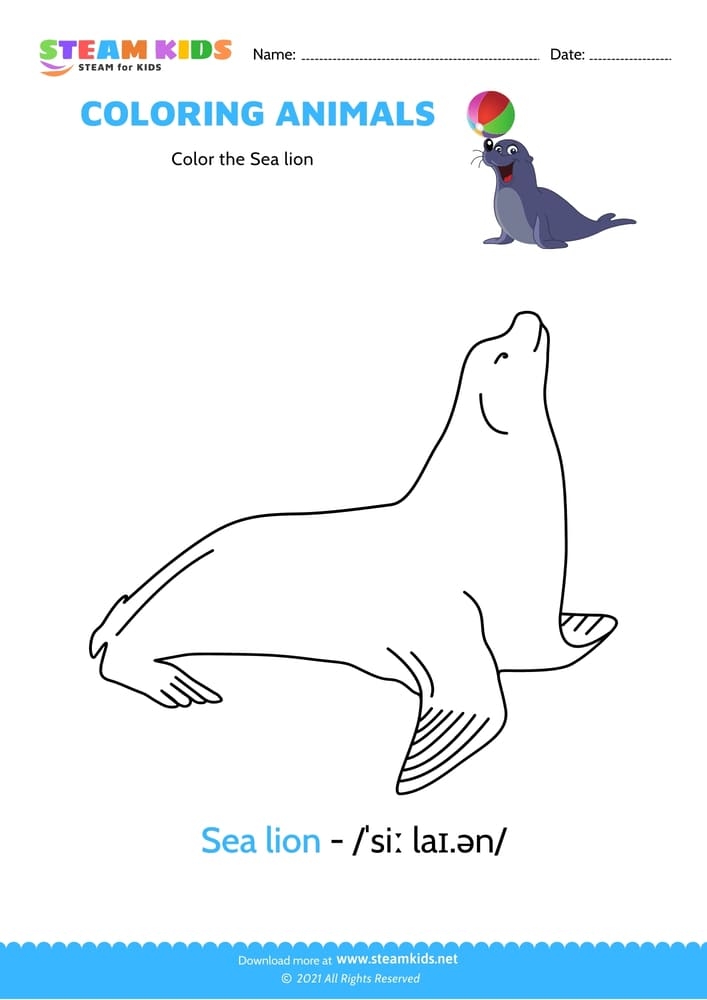 Free Coloring Worksheet Color The Sea Lion STEAM KIDS
