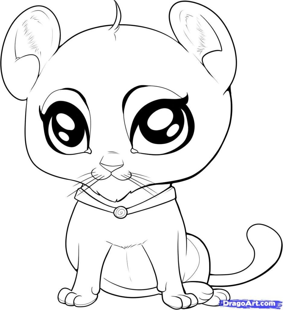 Free Cute Lion Coloring Page Download Free Cute Lion Coloring Page Png 