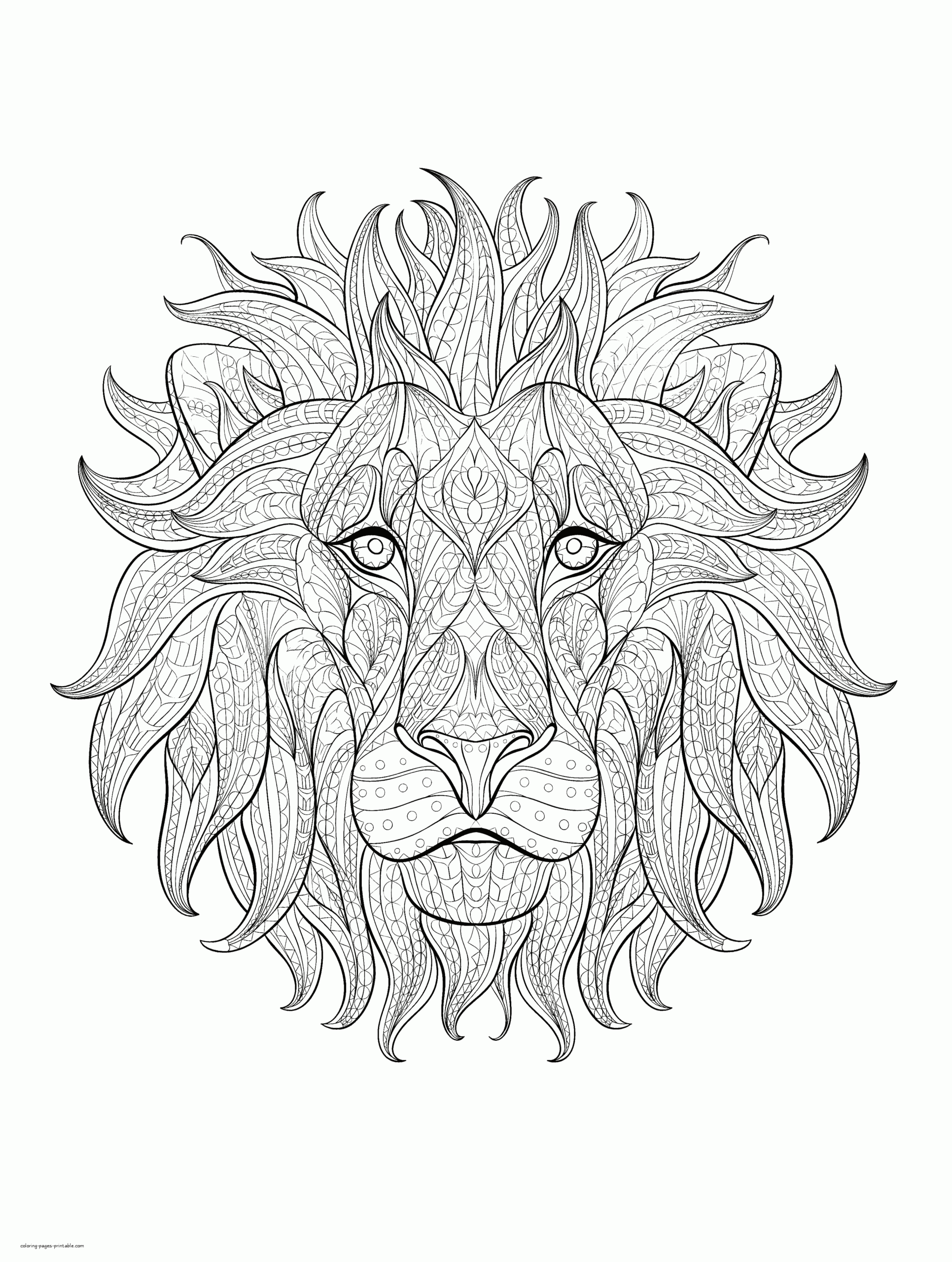 Free Lion Coloring Pages COLORING PAGES PRINTABLE COM