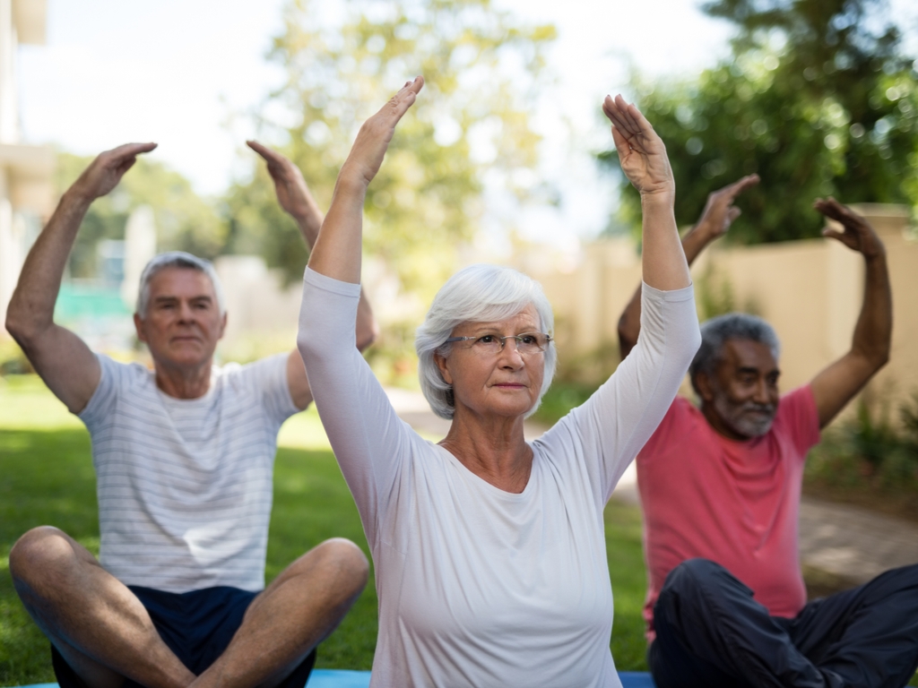 printable activities for senior citizens