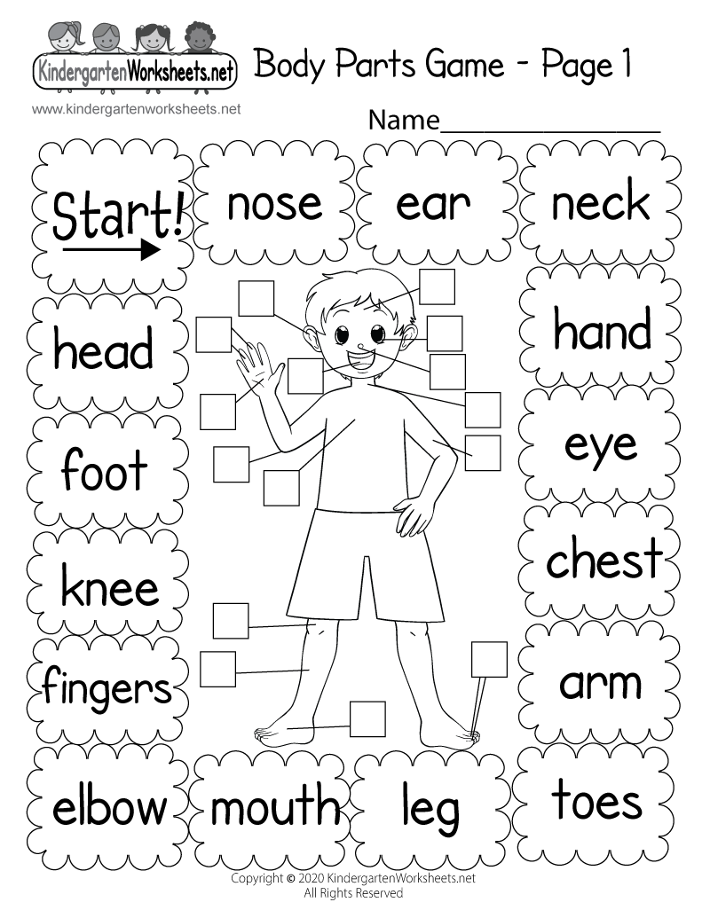 Free Printable Body Parts Worksheets Printable Worksheets
