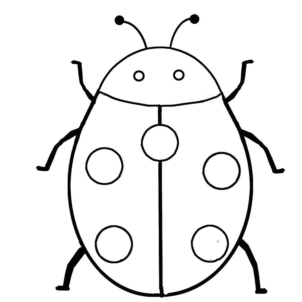 printable pictures of bugs