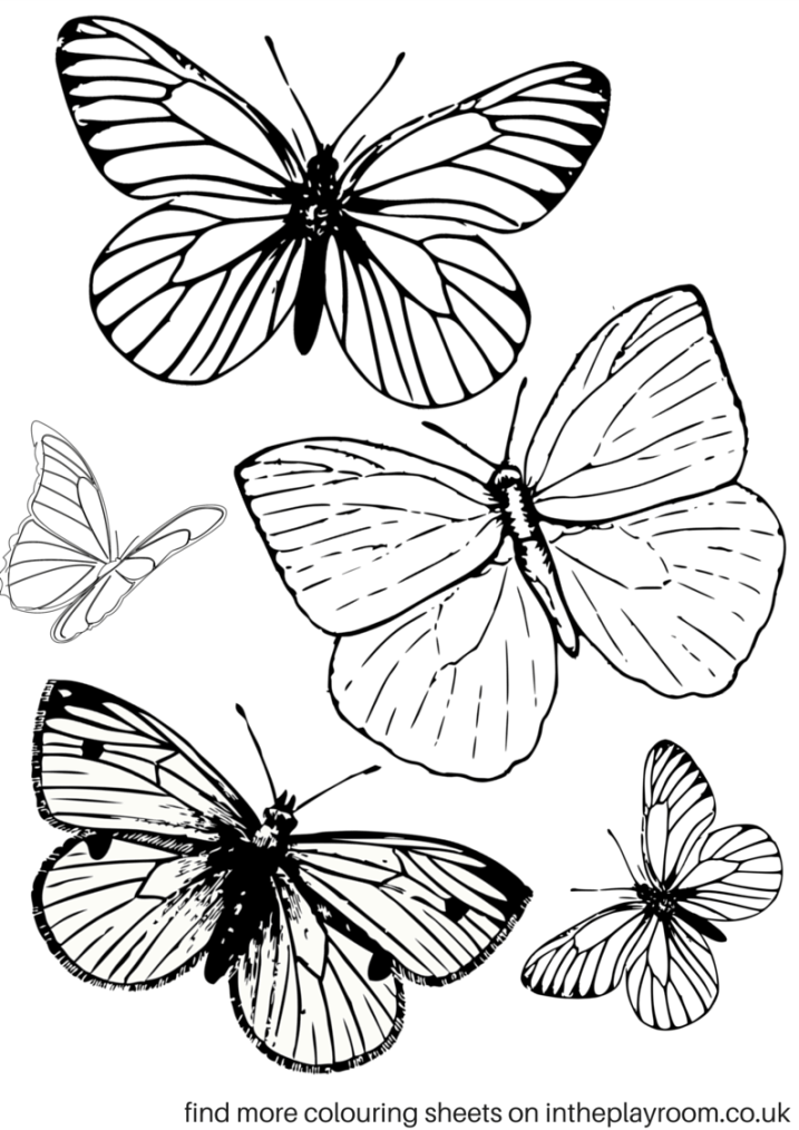 Free Printable Butterflies Coloring Pages