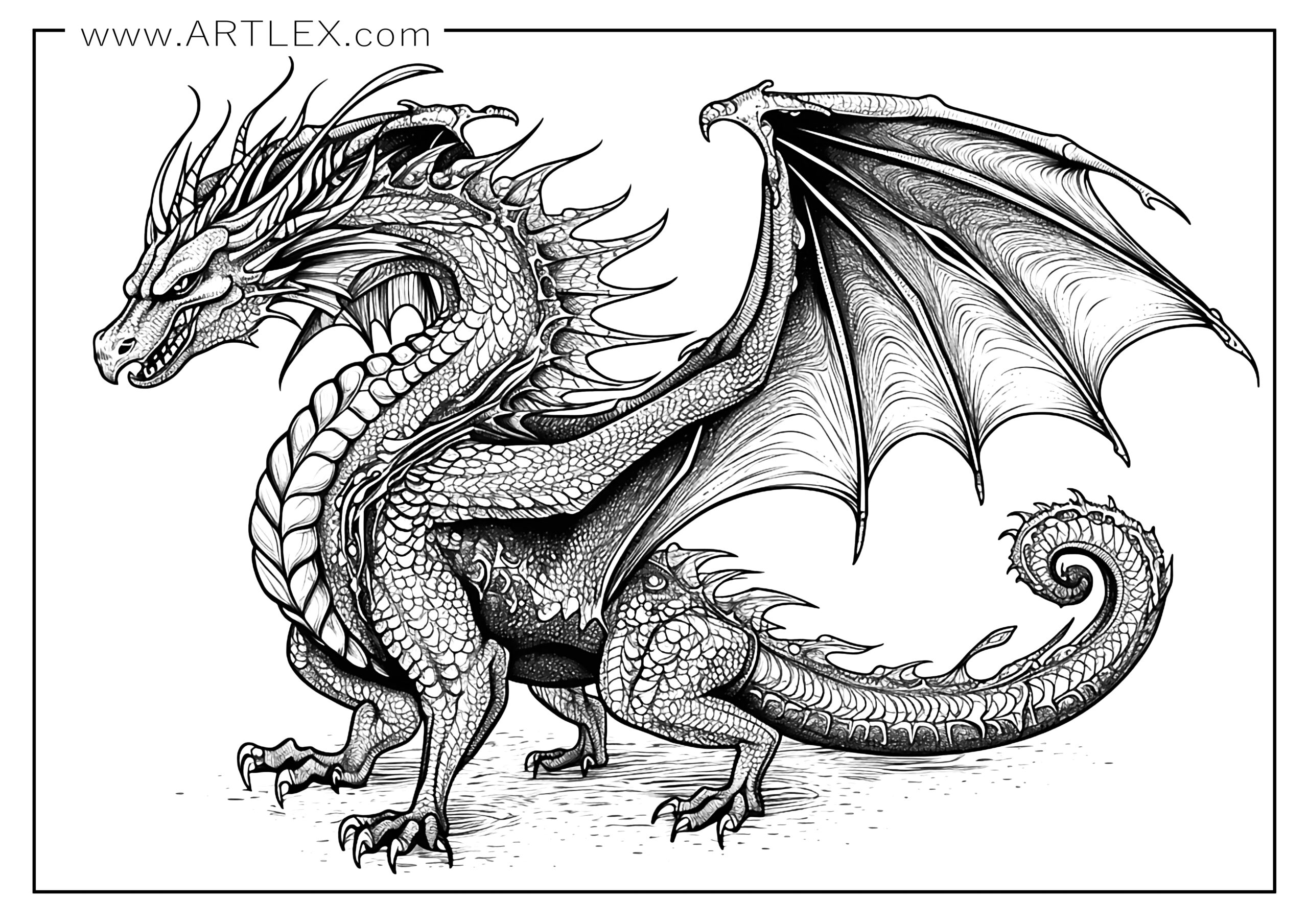 Free Printable Dragon Coloring Pages Udlvirtual esad edu br