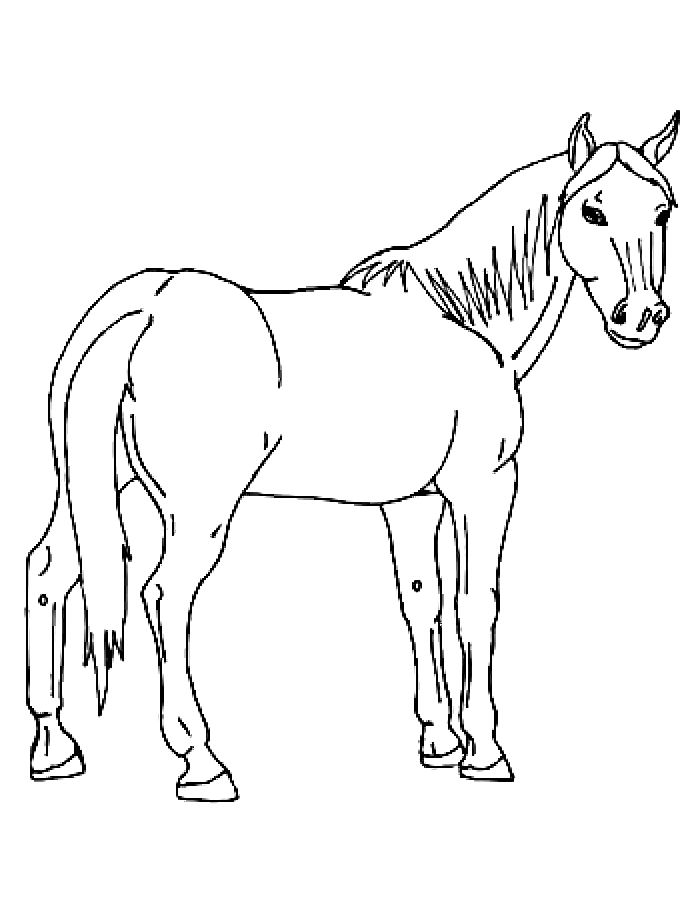 Free Printable Horse Coloring Page Free Printable PDF 