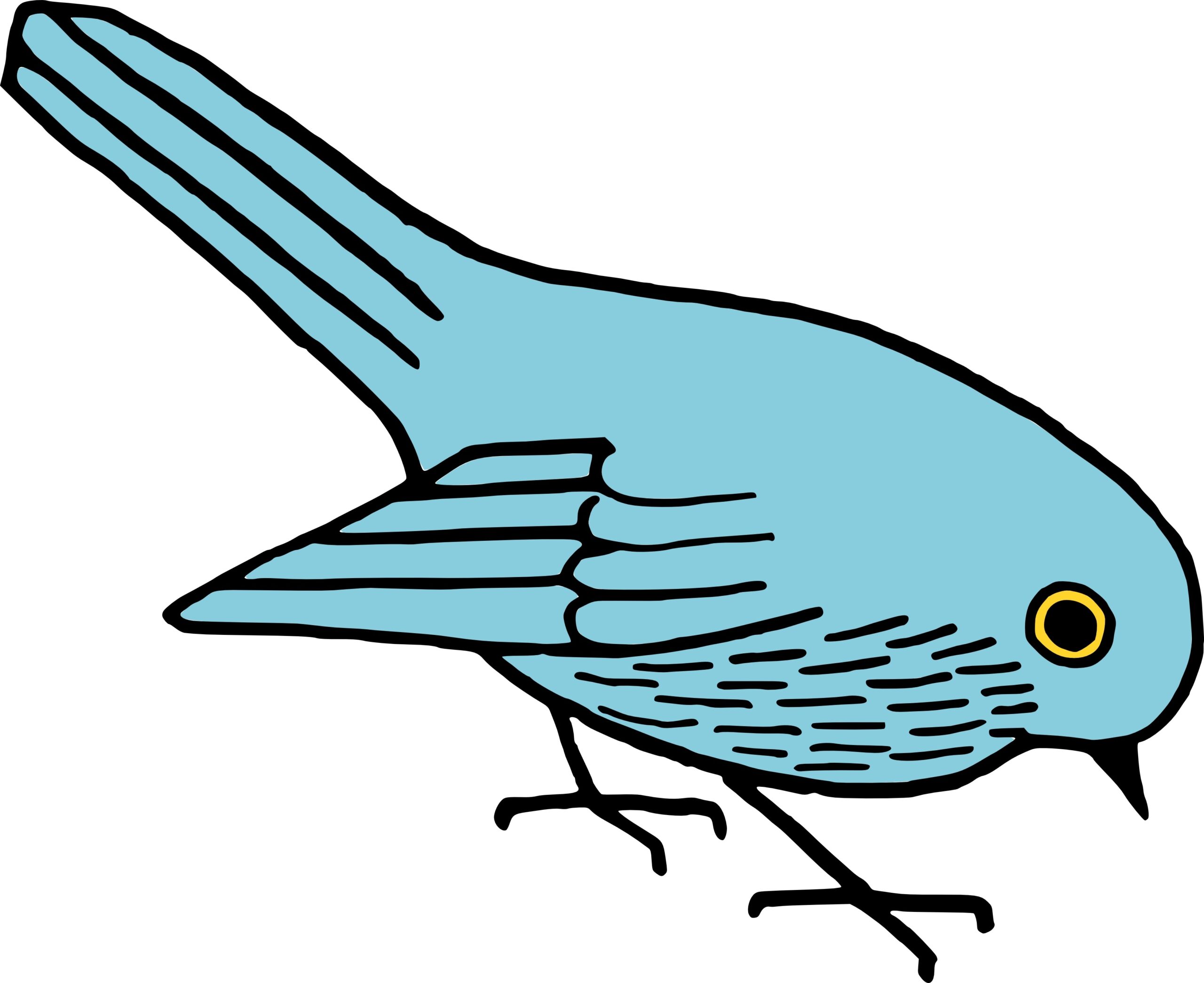printable pictures of birds