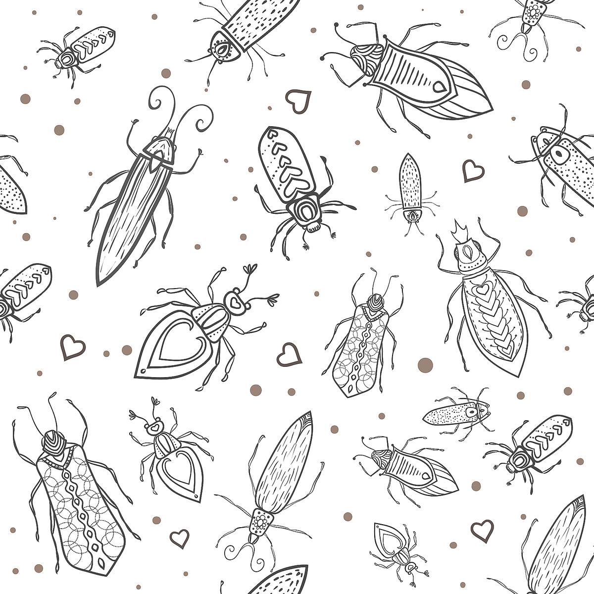 printable pictures of bugs and insects